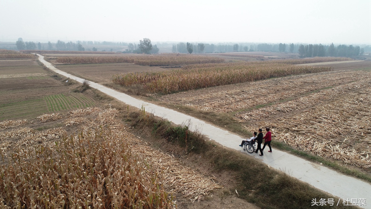 爱你永不放弃电视剧免费观看,爱你永不放弃电视连续剧