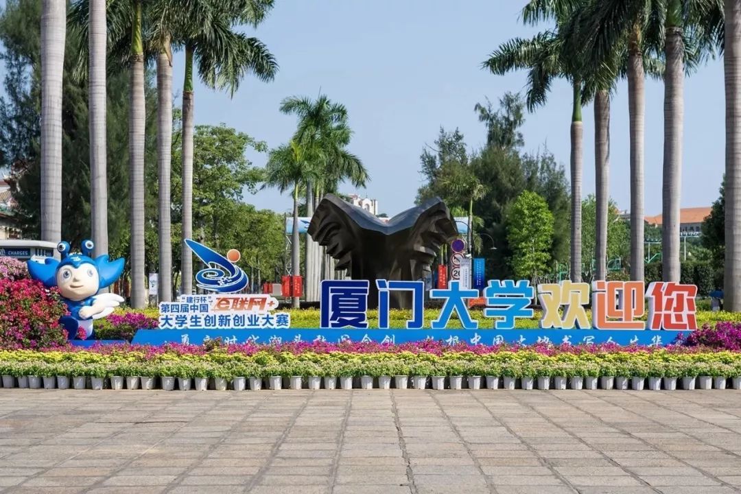 互联网大学生创新创业大赛总决赛,互联网大学生创新创业大赛解读