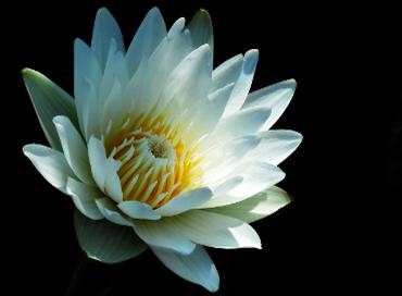 数码单反摄影教程,数码单反摄影进阶完全教程