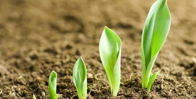 生存期最短十种癌,十种癌五年生存率不致命