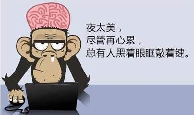 程序员是什么专业工资高,深圳程序员工资高吗