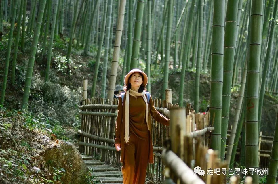 竹海扬波，溪山飞瀑｜心花开放在幽篁里