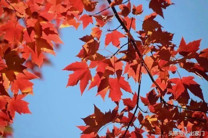 跟着发哥和郭天王,探秘《无双》取景地