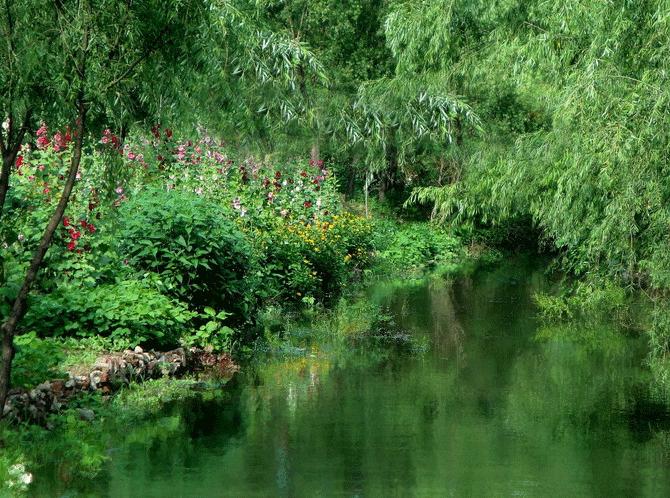 12生肖2019年运势抢先看,12生肖2019年每日运势怎样