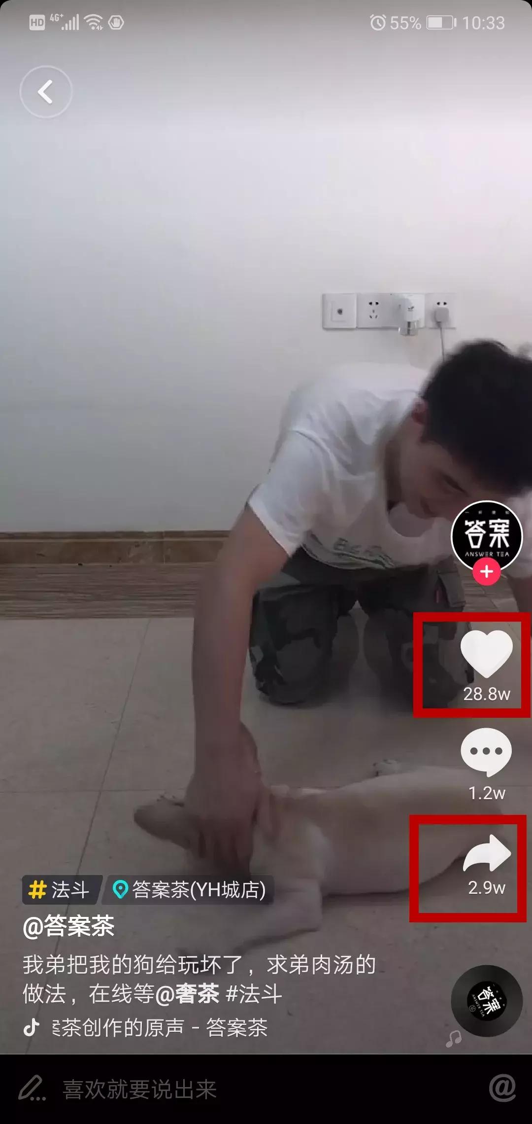 20秒转狗40圈！这家网红店，求求你放过狗吧！