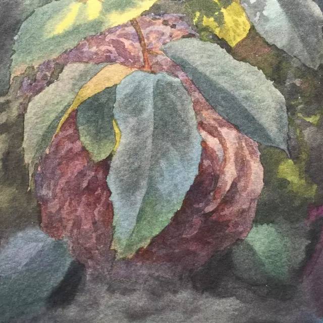 情人节用丙烯画画,情人节教我们画玫瑰