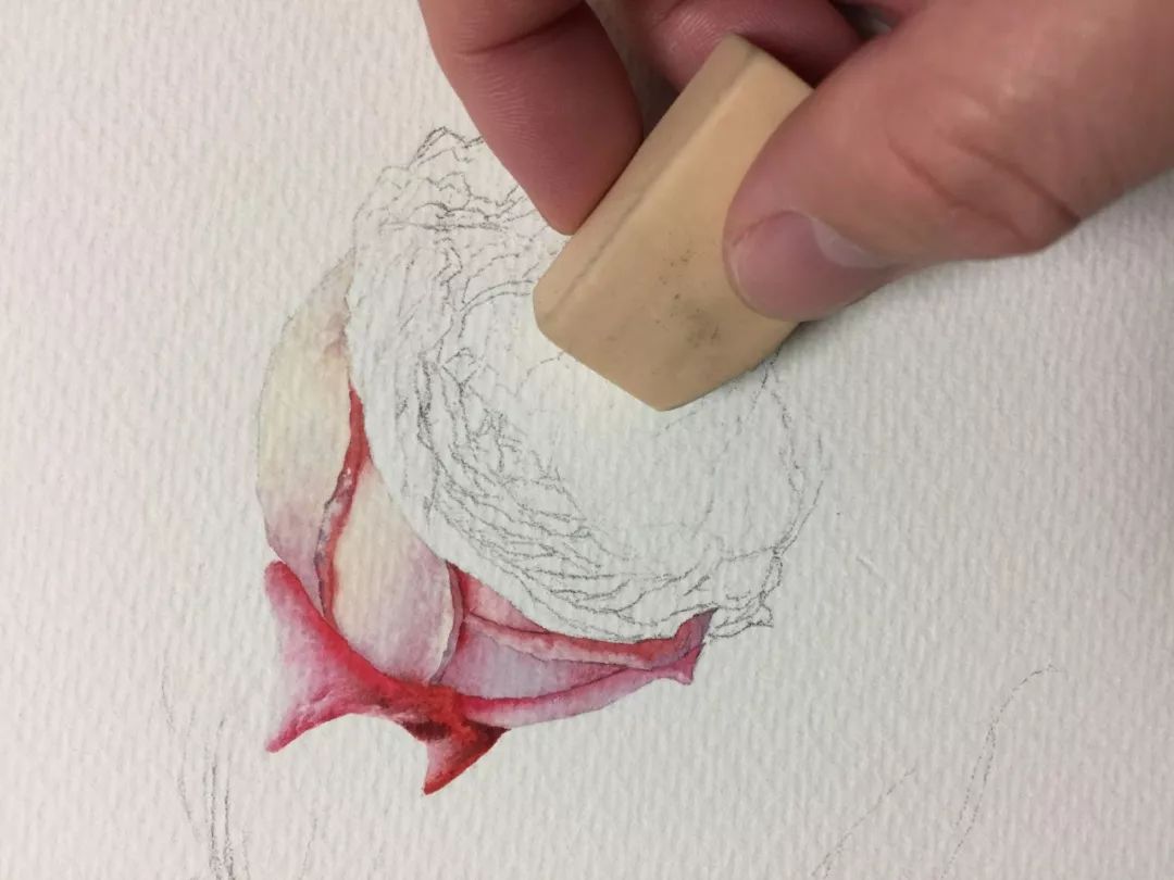 情人节用丙烯画画,情人节教我们画玫瑰