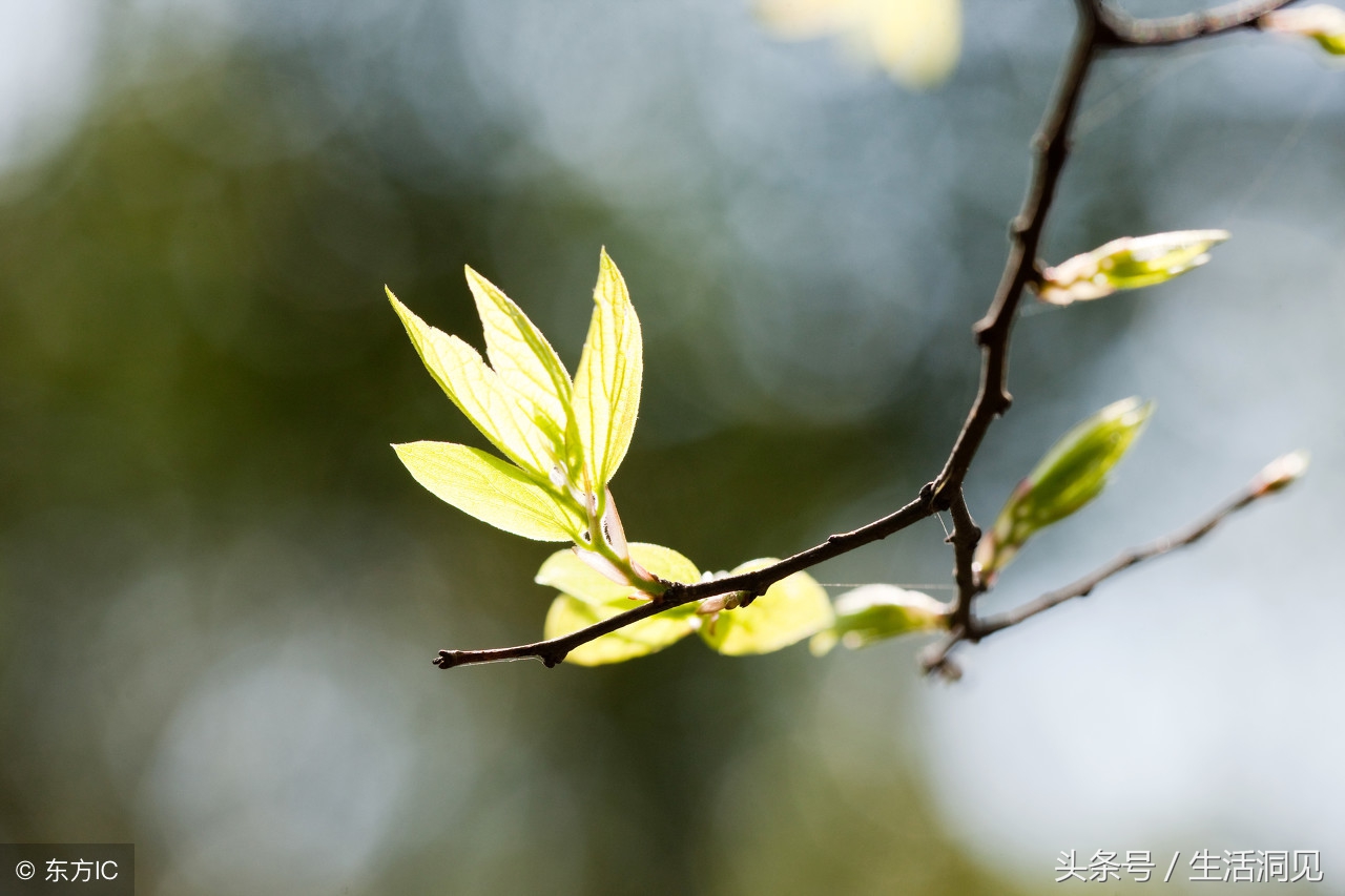 一个人太强势的表现,一个人太强势了是什么意思