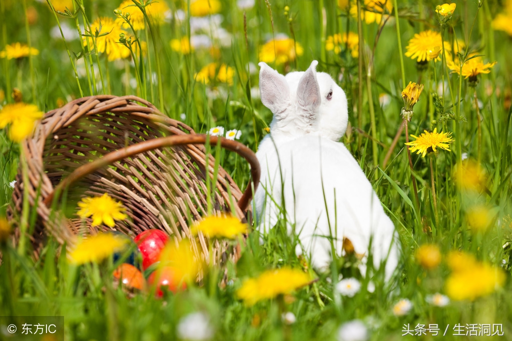 一个人太强势的表现,一个人太强势了是什么意思