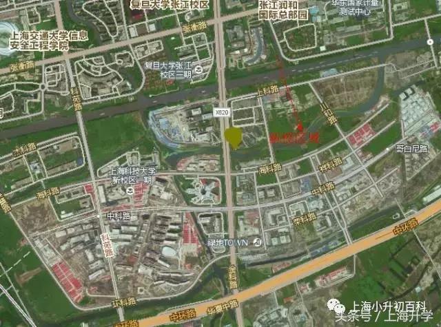 上海民办张江集团学校,浦东新区张江集团学校