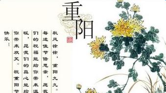 关于重阳节的事你知道多少,关于重阳节你不知道的事