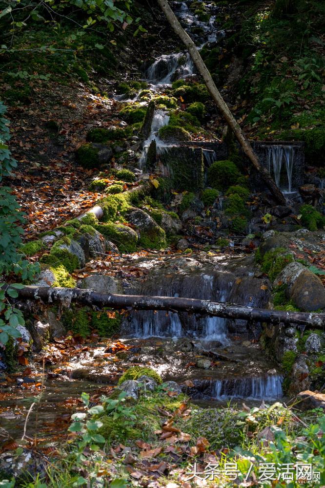 尼康全幅微单z7样张大小一样吗,尼康微单z7的镜头有哪些
