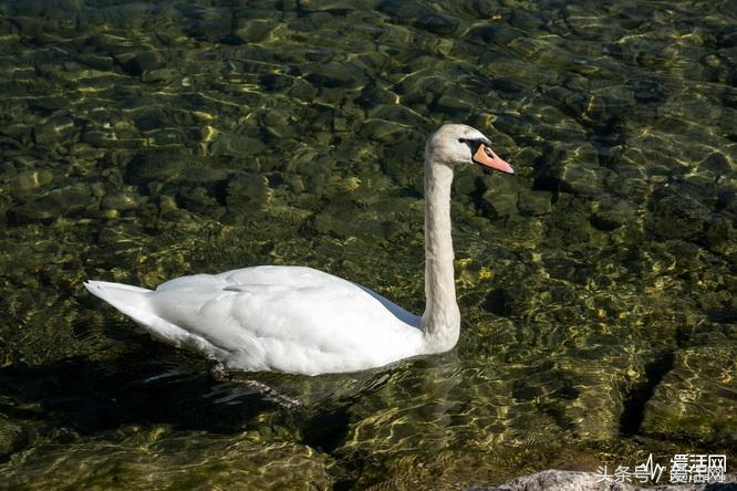 尼康全幅微单z7样张大小一样吗,尼康微单z7的镜头有哪些