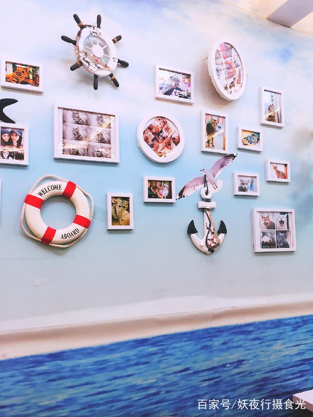 国内最好的猫咪咖啡厅,猫咪咖啡馆有几家