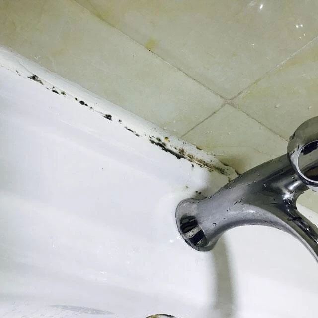 有没有不含甲醛的玻璃胶,有没有不长霉的玻璃胶