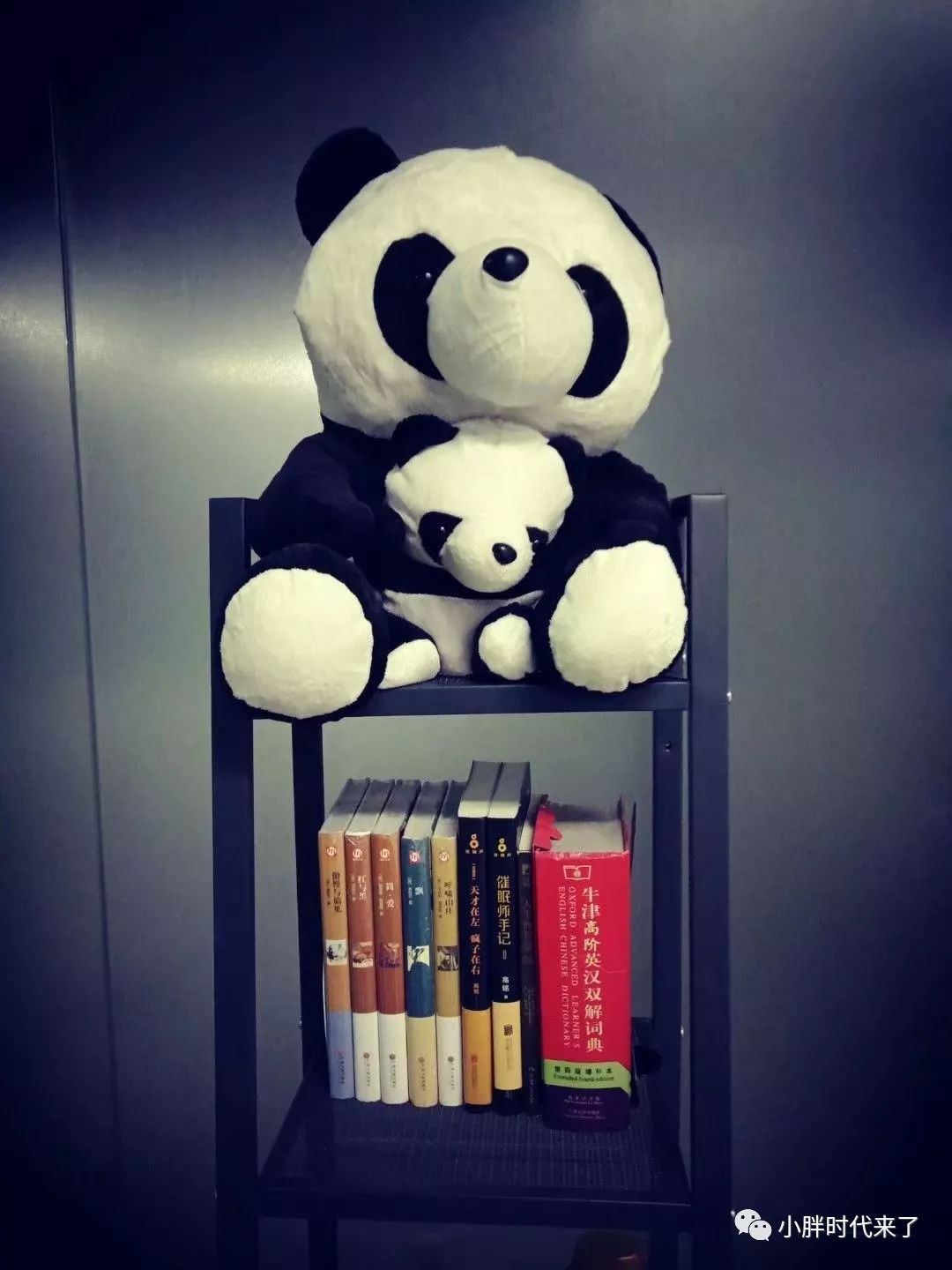 你们心心念的小胖时代，已经悄悄开业啦啦啦~