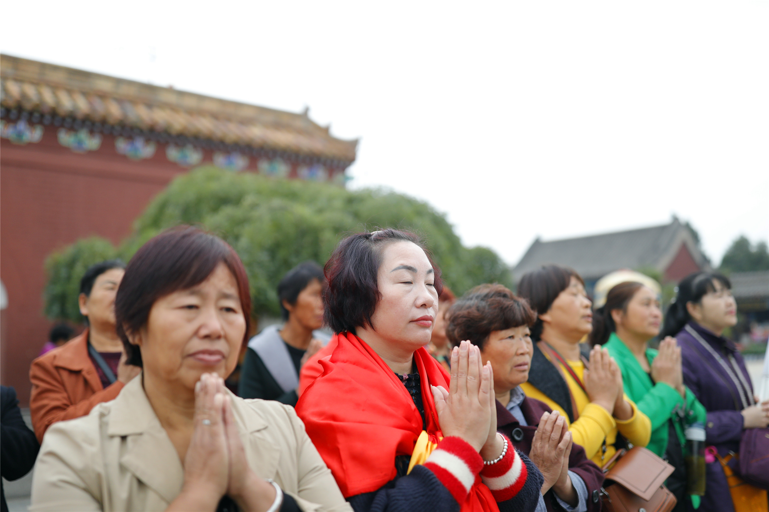 开封清明上河园龙亭两日游,自由行说走就走的旅行开封赏菊