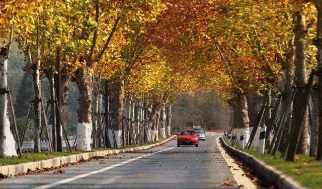 定了！上海又一条铁路获批，30min到湖州，还连接起了苏州！