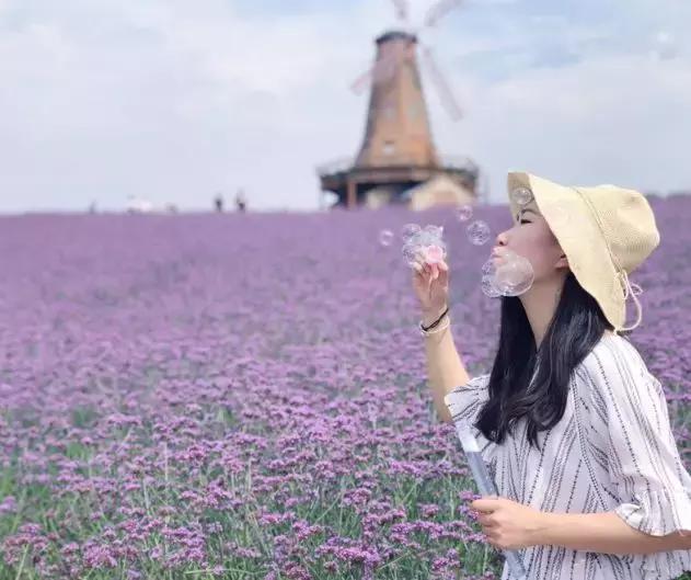 南京汤山温泉天气,汤山风景区秋天