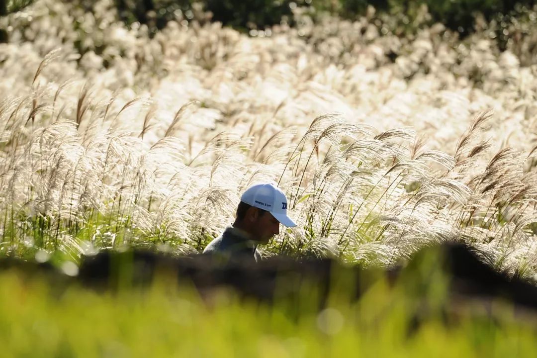 不知道美巡亚洲季的朋友，有多少人认为汉拿山只有烤肉？