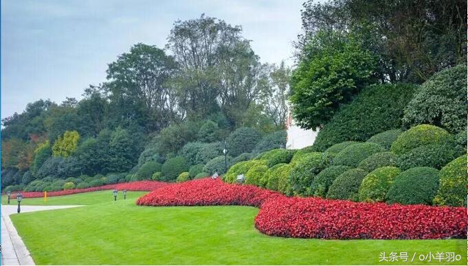 园林绿化景观草坪种植,公园草坪园林景观设计