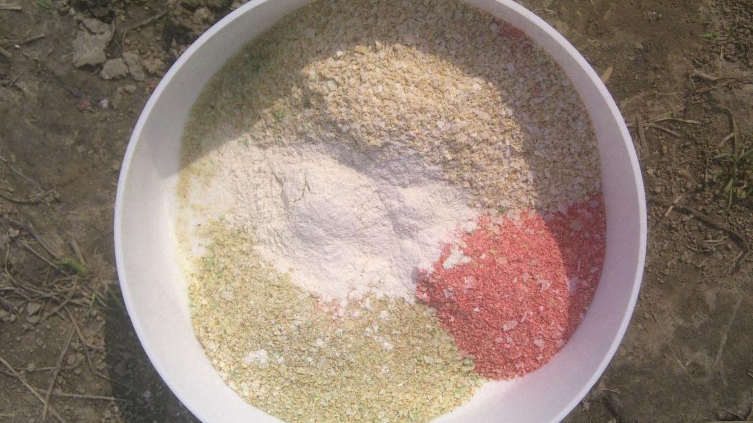 速攻2为什么可以调状态,速攻2号的作用及使用方法