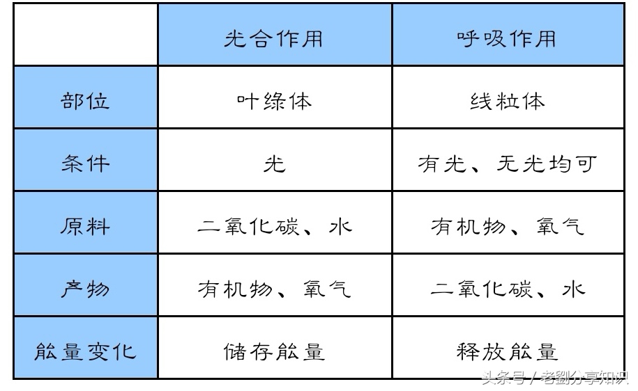 七年级上册生物三大生理作用知识,七年级上册生物思维导图重点知识