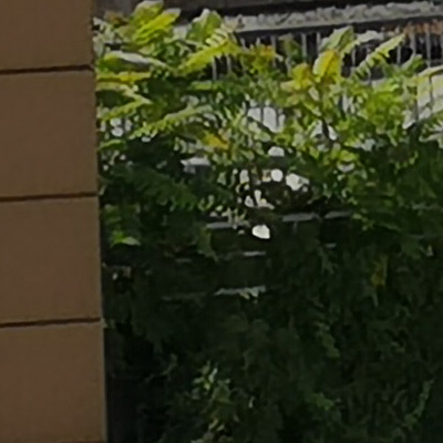 三星galaxynote9颜值,三星galaxynote4拍照