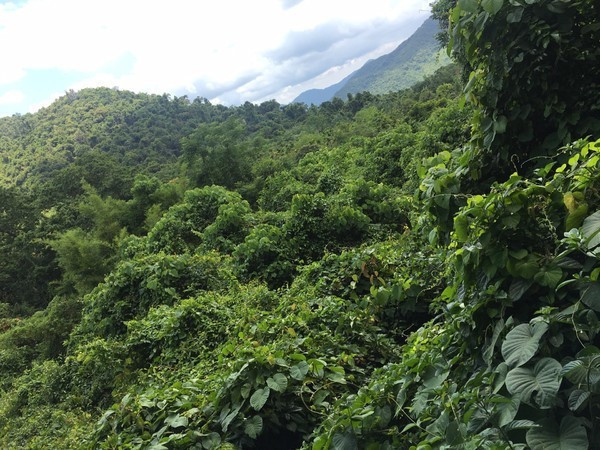 三亚的海景特别美，闺蜜自由行攻略