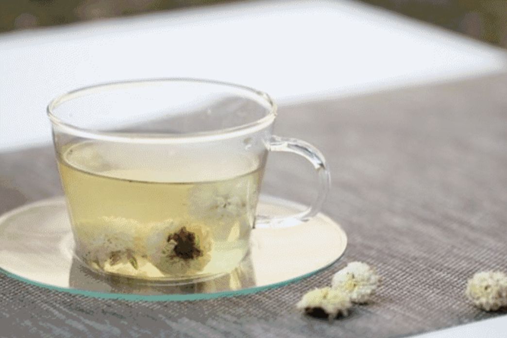 菊花什么人不建议吃呢,菊花可以吃下去吗