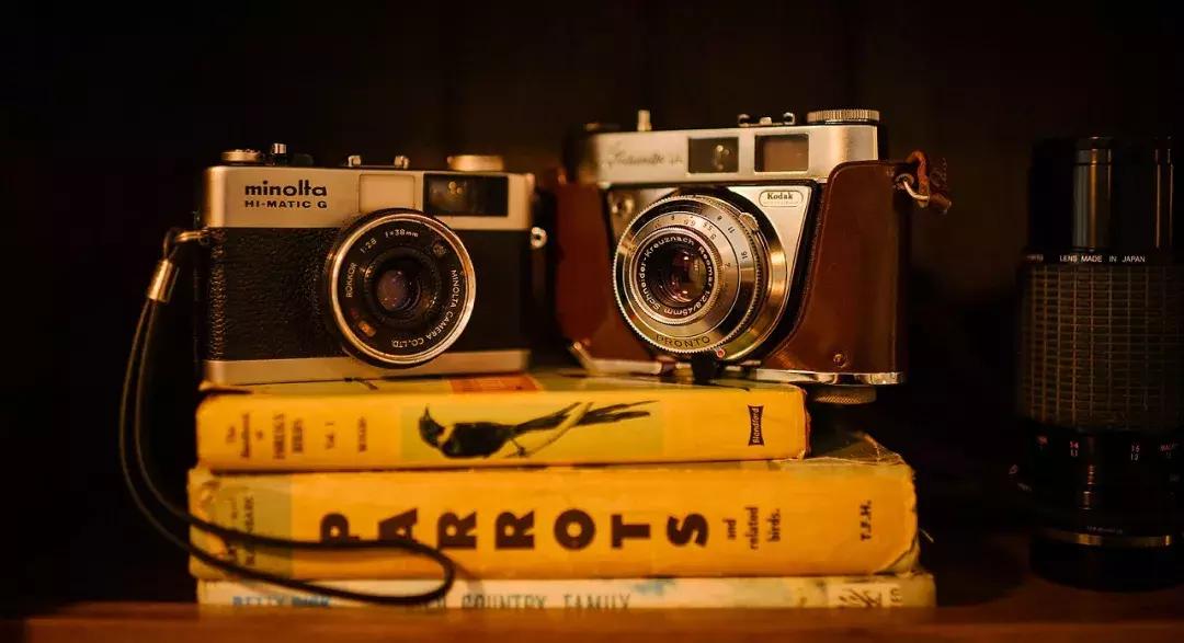 有超大草坪的庄园,大型生态农场庄园10万亩