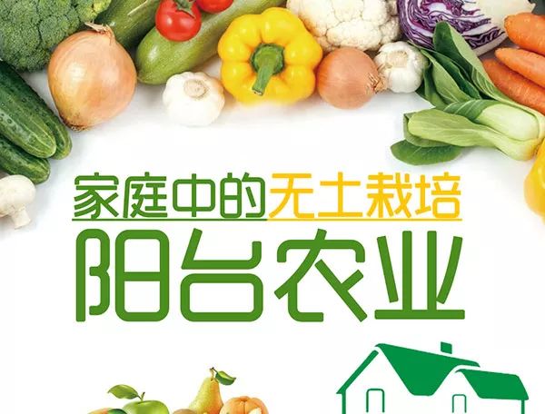 家庭阳台无土栽培设计方案,在家种菜阳台无土栽培能种什么菜