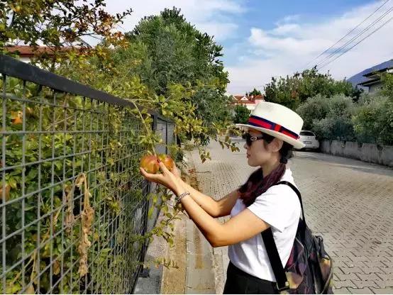 自驾土耳其2019,2018欧洲旅游最佳路线