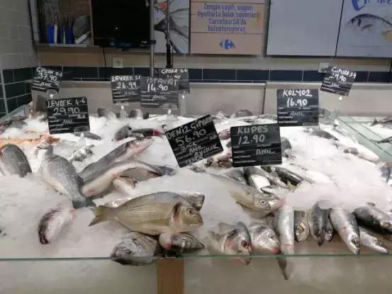 自驾土耳其2019,2018欧洲旅游最佳路线