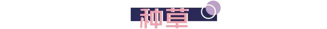 泰国热门产品排行榜,泰国网红商品到底怎么样