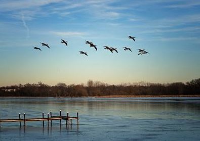 乘风破浪的励志诗词,乘风破浪的原创诗