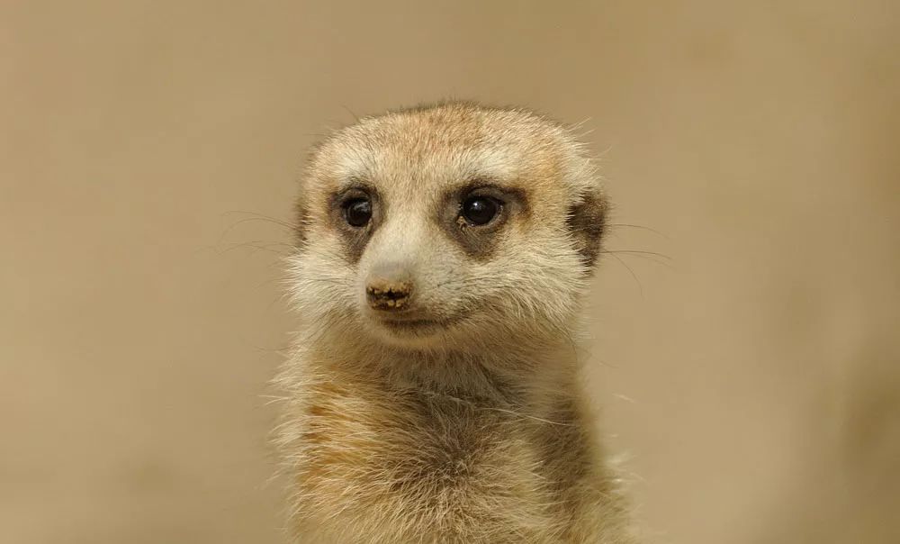 狐话聊斋2014作品,话聊斋