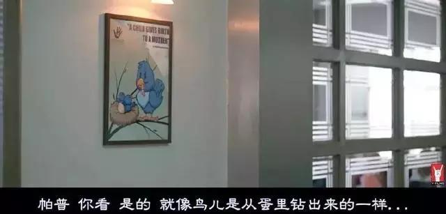 青青健康小课堂丨性教育，真的就那么难以启齿吗？