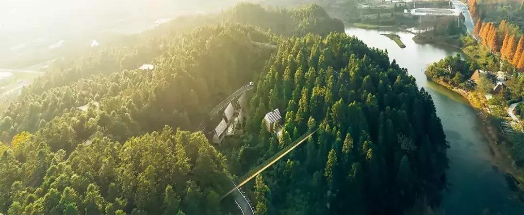 这片媲美京都的红叶之森只藏15栋梦幻树屋，杭州1.5h直达！