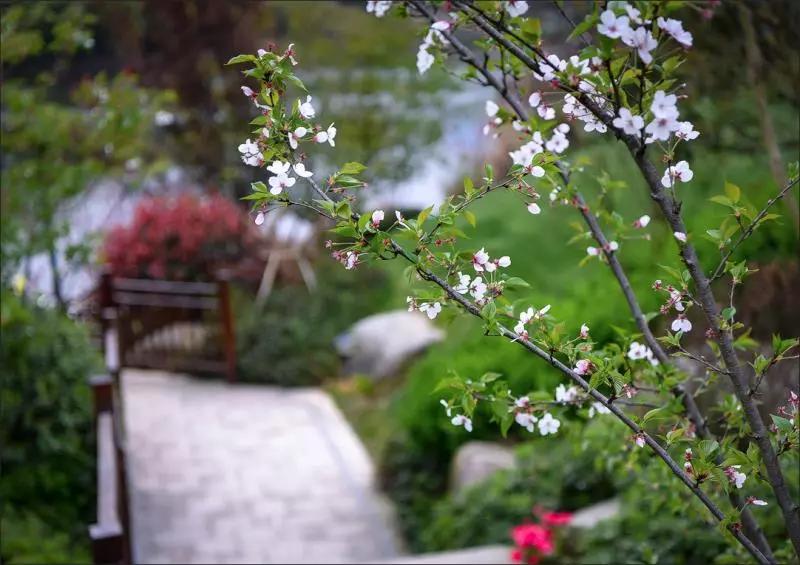 “望闻食嗅”皆养生……桐庐开启大杭州首条中医药健康养生之旅！