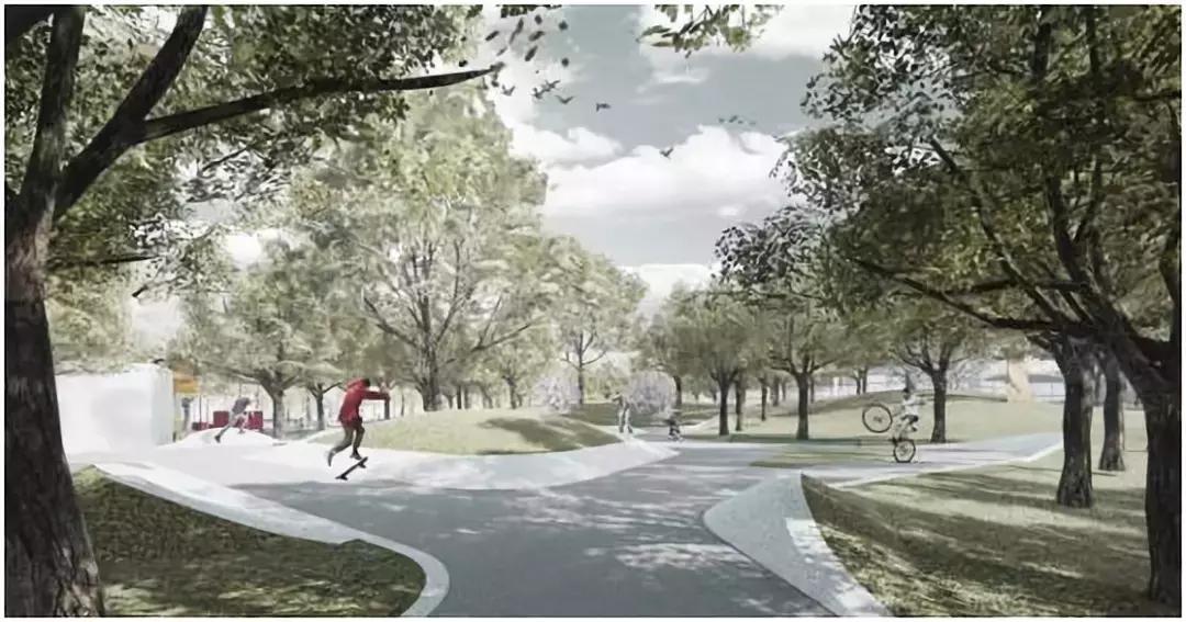 沙坪坝今日关注,沙坪坝人