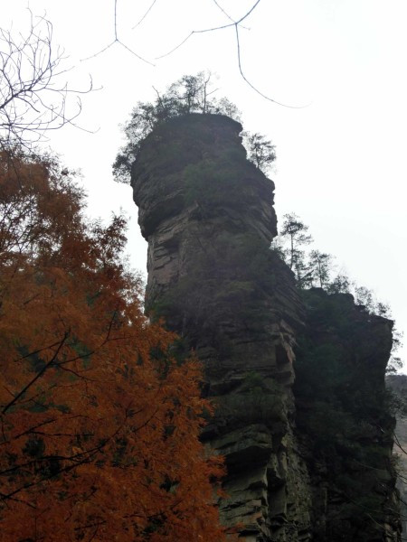 张家界国家森林公园天门山两日游,张家界天门山自由行攻略一日游
