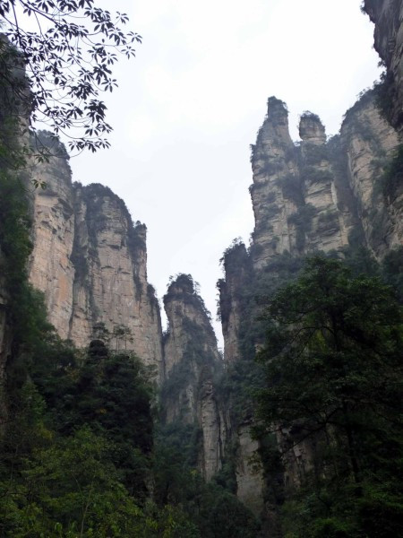 张家界国家森林公园天门山两日游,张家界天门山自由行攻略一日游