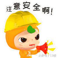 浙江网红被交警查 (网红炫富被警察抓)