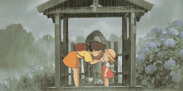 吉卜力龙猫,吉卜力工作室标志龙猫