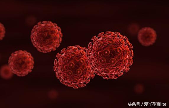 怀孕十月宝宝发育图表,十月怀胎宝宝生长过程视频