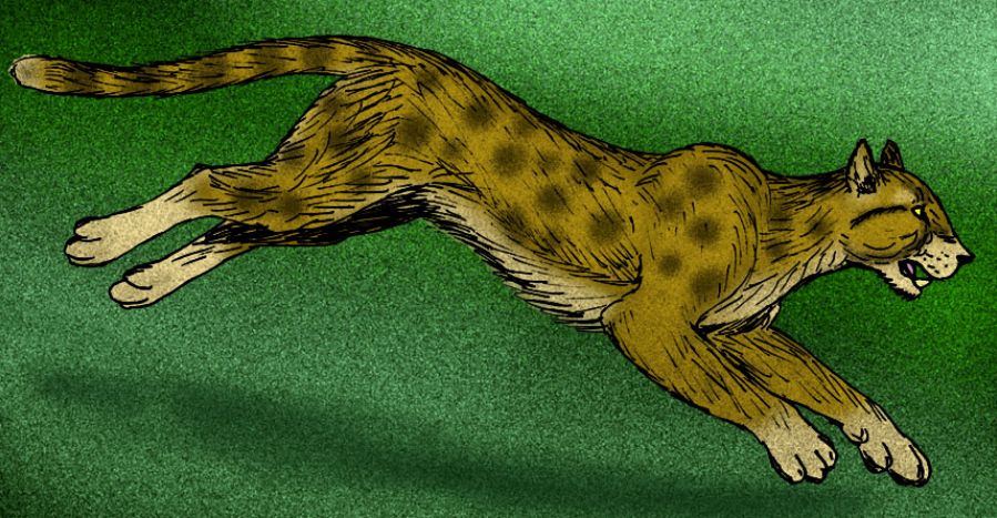 猫咪可以灭绝吗,猫快灭绝了吗