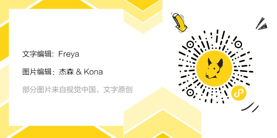 这个人人爱的假脸女人，亚洲女星谁演比较靠谱？