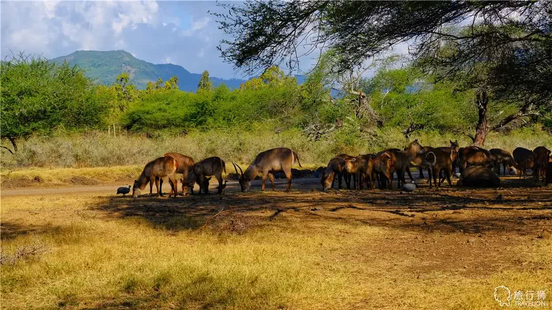 你喜欢什么样的海水,你喜欢什么样的海