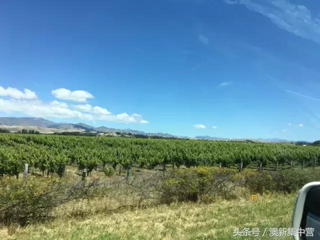 新西兰租别墅攻略,新西兰租房最全攻略